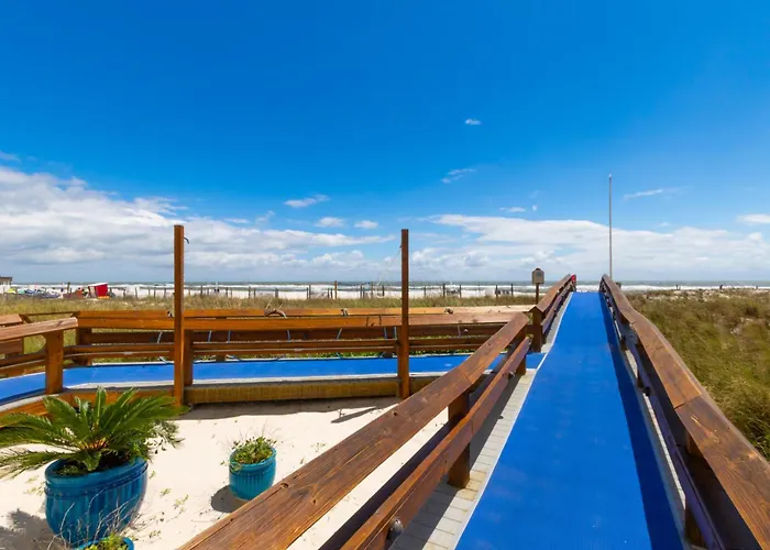 Apartment San Carlos 1008
